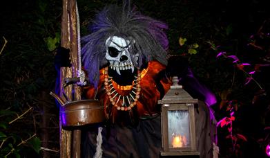 Trail of Terror