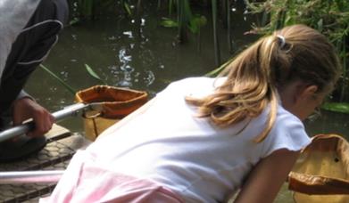 Pond Dipping