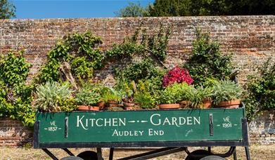 Gourmet Garden at Audley End House and Gardens