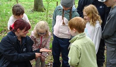 Abbotts Hall Family Forest Fun