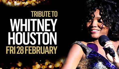 Whitney Houston: A Tribute By Nya King