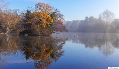 Weald Country Park