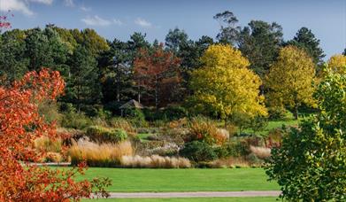 Clover Hill at RHS Garden Hyde Hall.