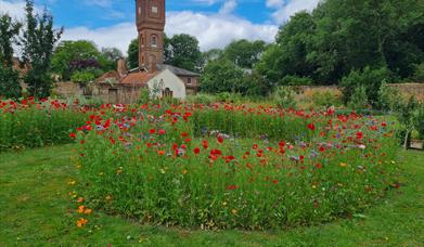 Nature Day at Easton Lodge