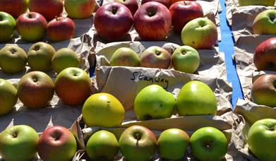 Apples and Bees Day at Easton Lodge