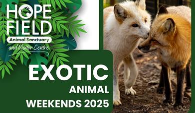 Exotic Animal Weekend