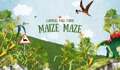 Maize Maze