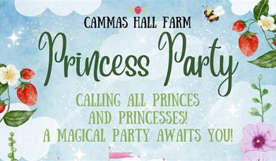 Princess Party