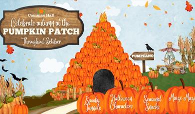 Halloween Pumpkin Patch