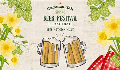 Beer Festival