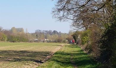 countryside Walks