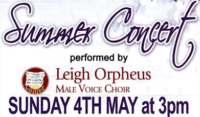 Summer Concert