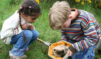 Grange Farm Summer Meadow Adventure