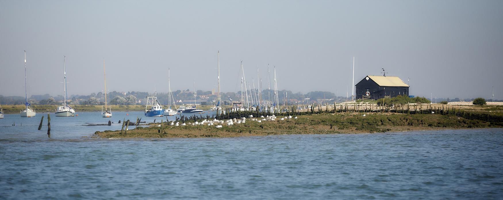 Mersea Island