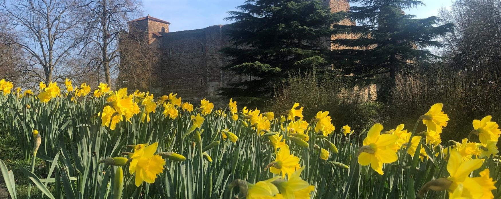 Colchester Castle Park