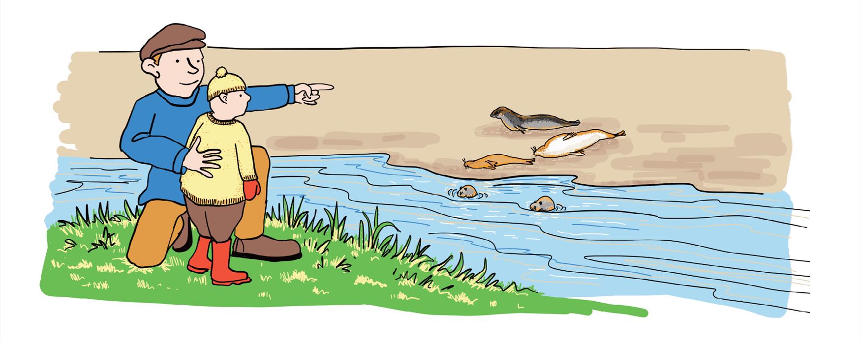 Illustration of Seal watching activity