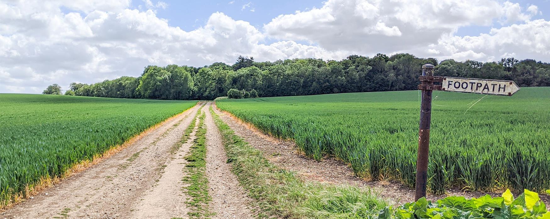 A footpath sign in the middle of fields