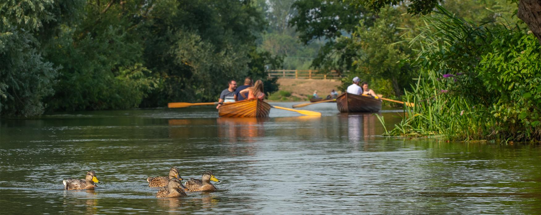 Dedham rowing on River Stour