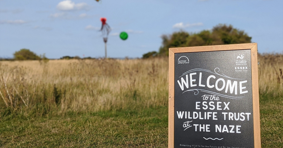 The Naze Nature Discovery Centre - Visitor Centre in Walton-on-the-Naze