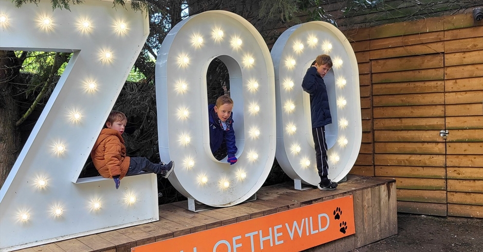 Call of the Wild - Zoo in Chelmsford, South Woodham Ferrers - Visit Essex