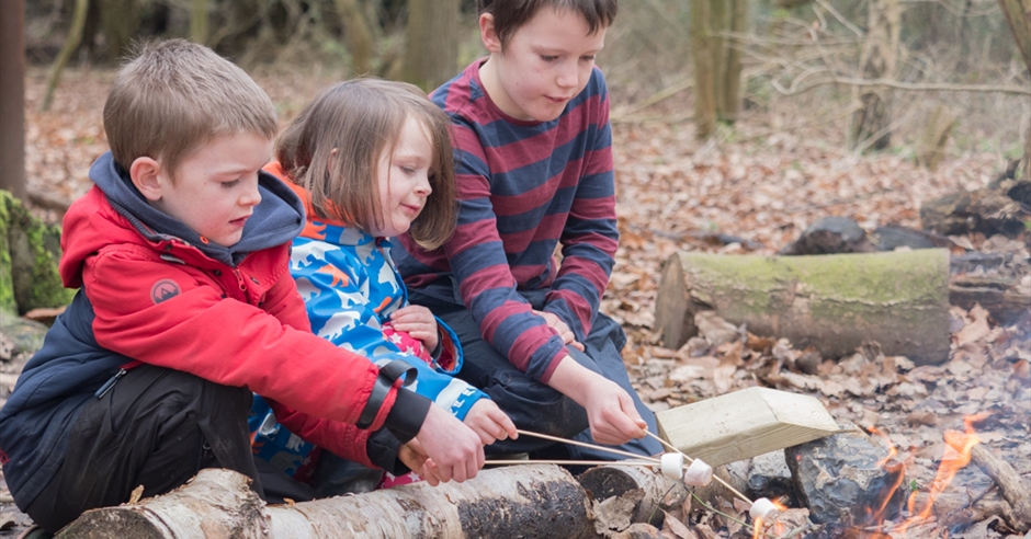 Back to the Woods Summer Adventure - Children's Activity Event in Bures ...