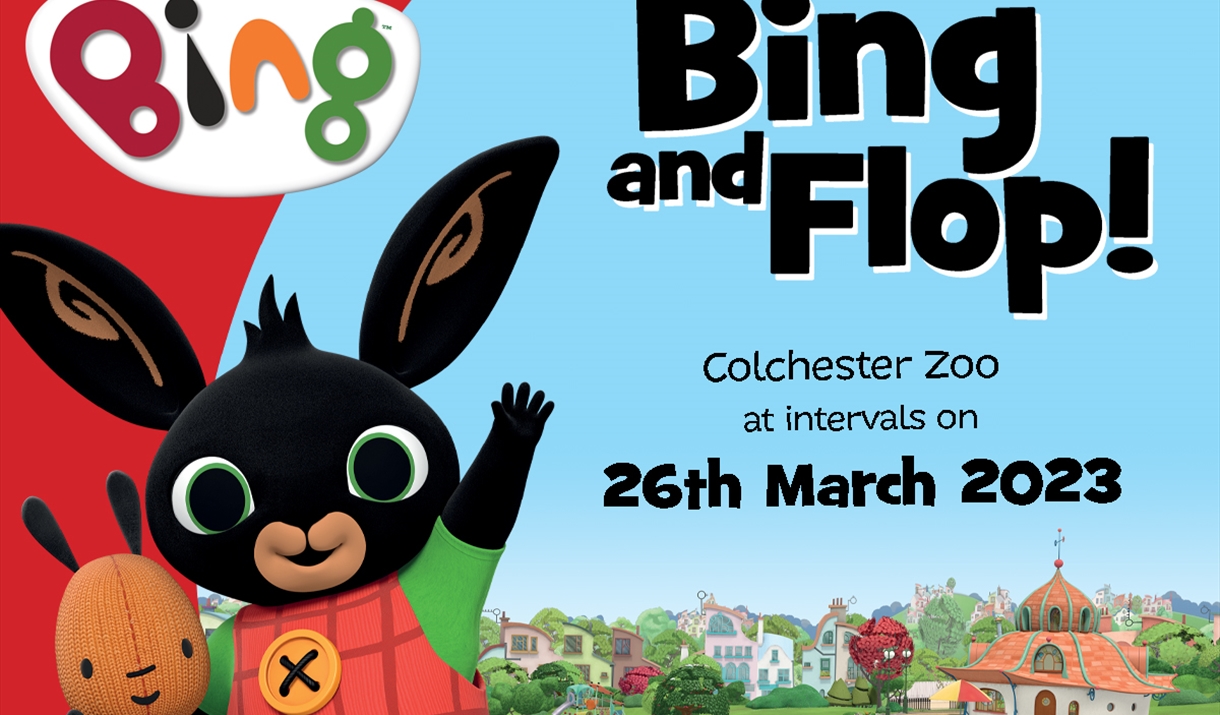 Meet Bing and Flop - Outdoor Event in Colchester, Colchester - Visit Essex