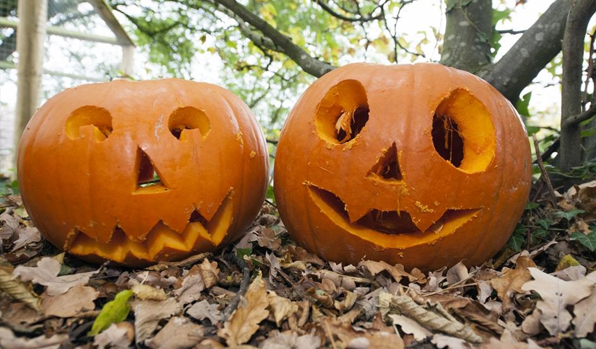 Carved pumpkins