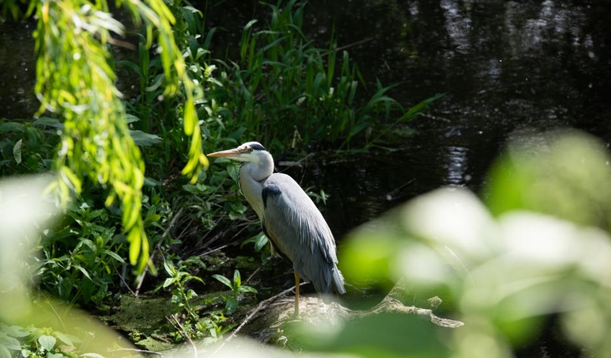 Lee Valley Regional Park - Places to go