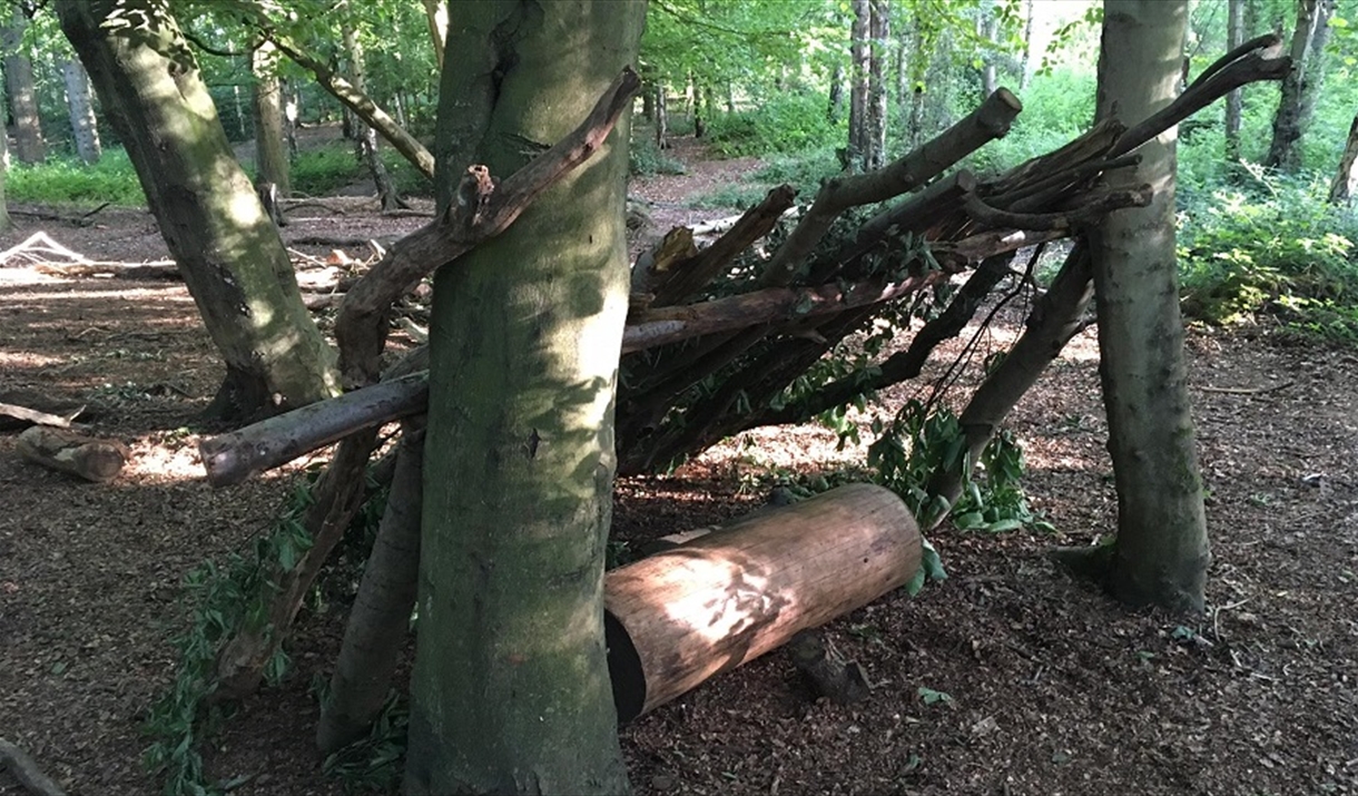 A den built from wood in High Woods Country Park