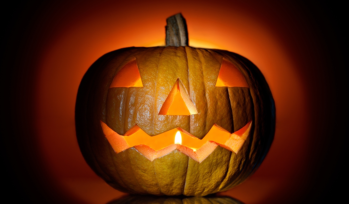 Bedfords Pumpkin Carving