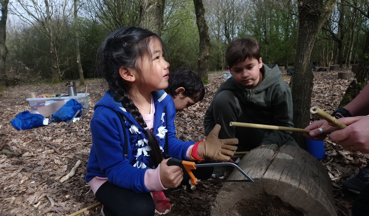 Family Forest Fun