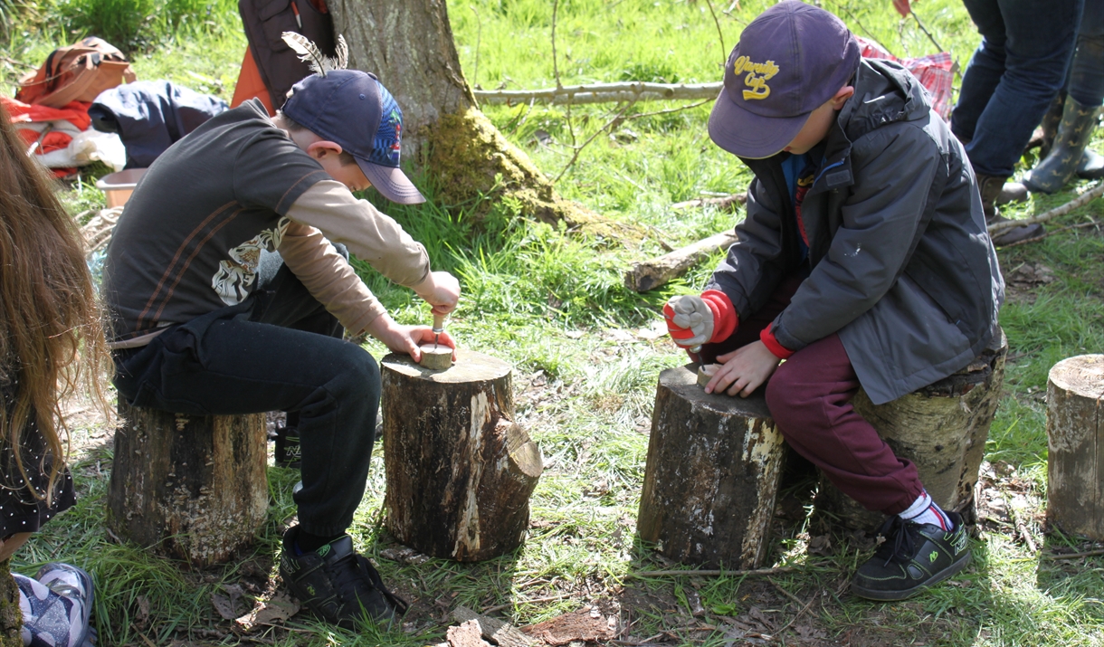 Bedfords Autumn Forest Fun