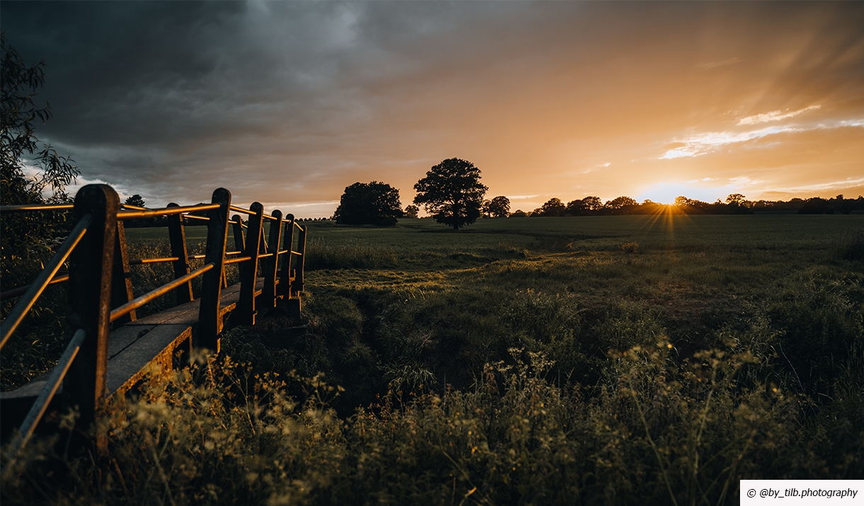 Billericay fields at sunset