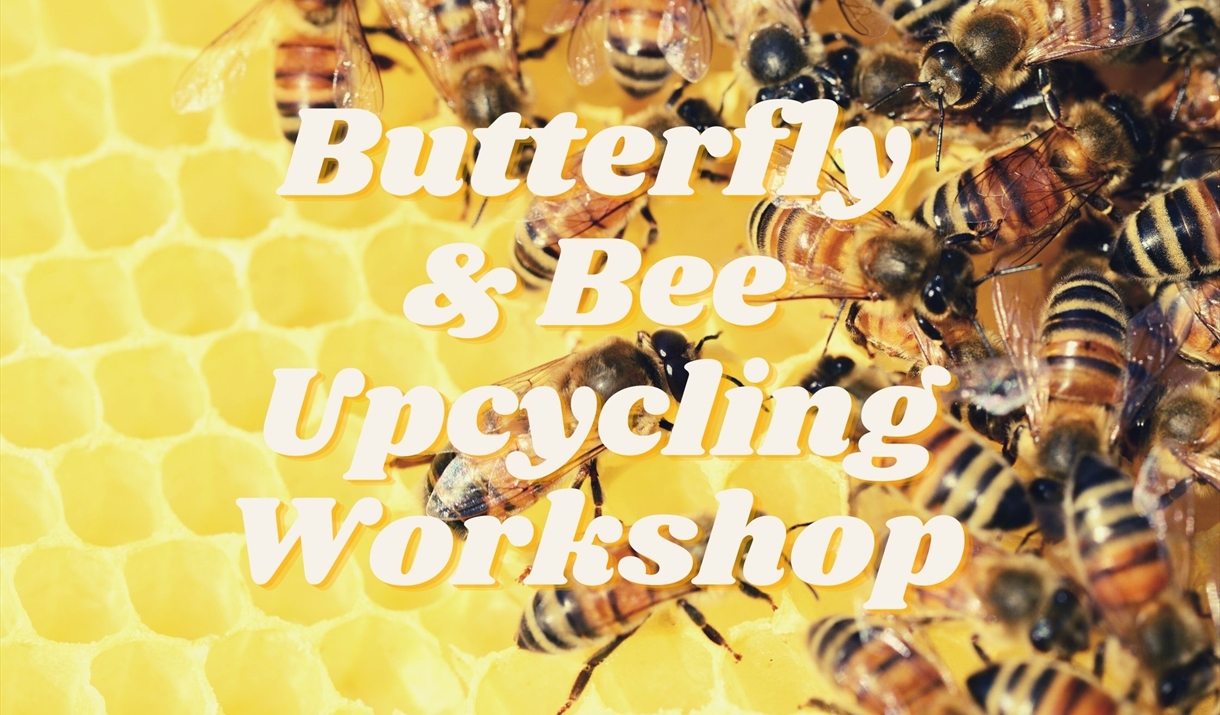 Picture of bees with text saying 'Butterfly & Bee Upcycling Workshop' overlaid