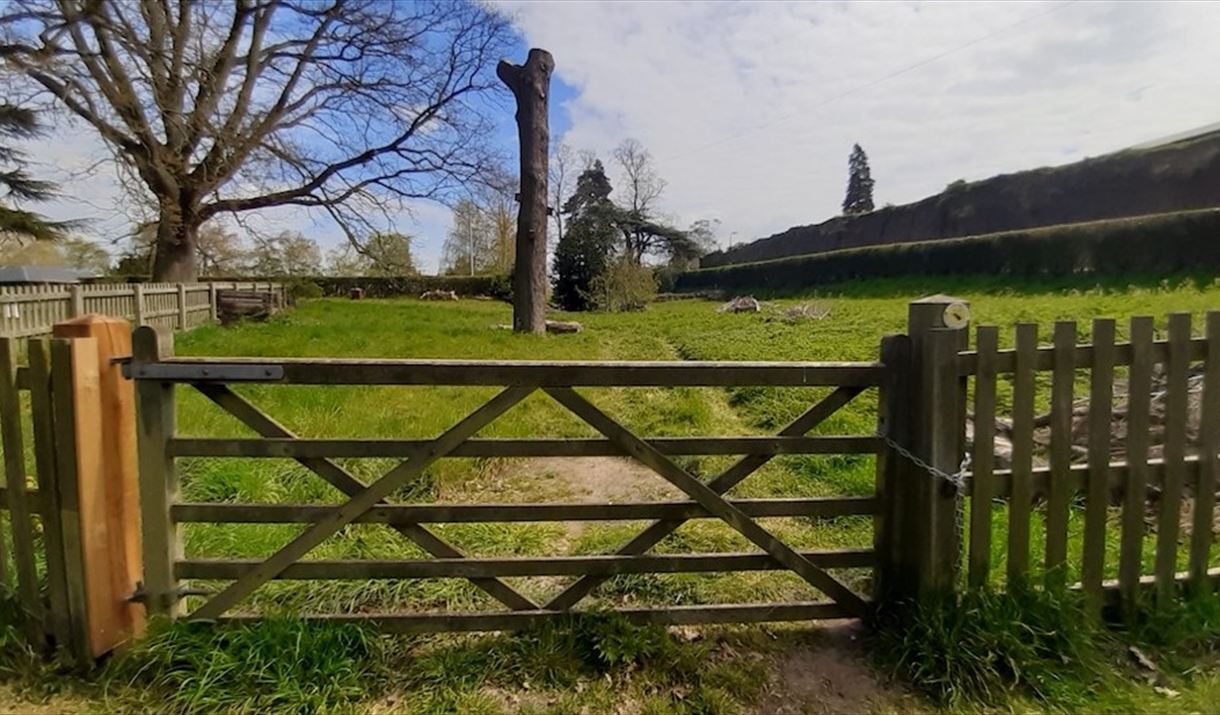 The gate to the Castle Park Wildlife Garden