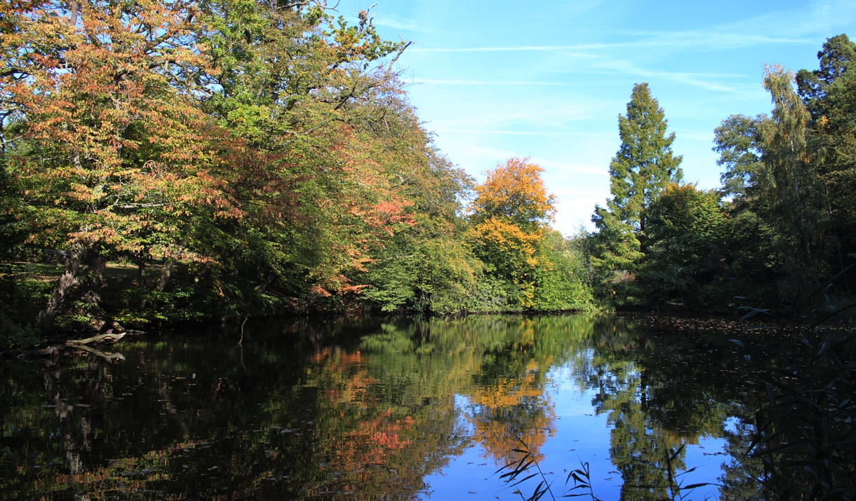 Danbury Country Park - Country Park in Danbury, Chelmsford - Visit Essex