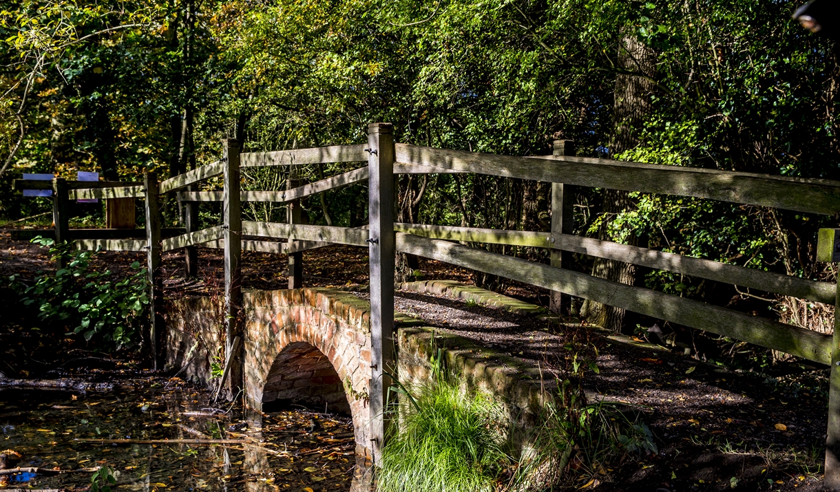 GC24Y9Y The Belvedere - Weald Country Park (Multi-cache) in Eastern  England, United Kingdom created by SXParx