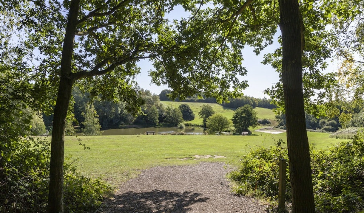 A footpath at High Woods Country Park leading out of the woods into an open field. A lake is in the distance.