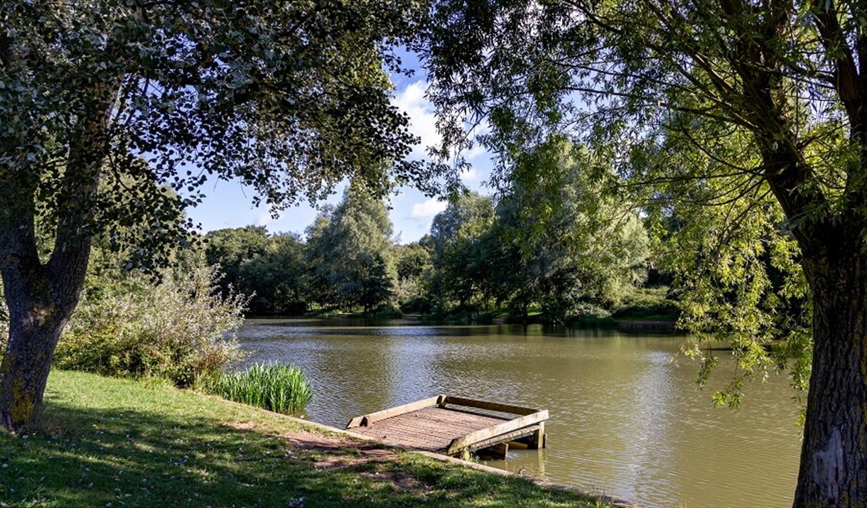 A fishing platform at High Woods Country Park