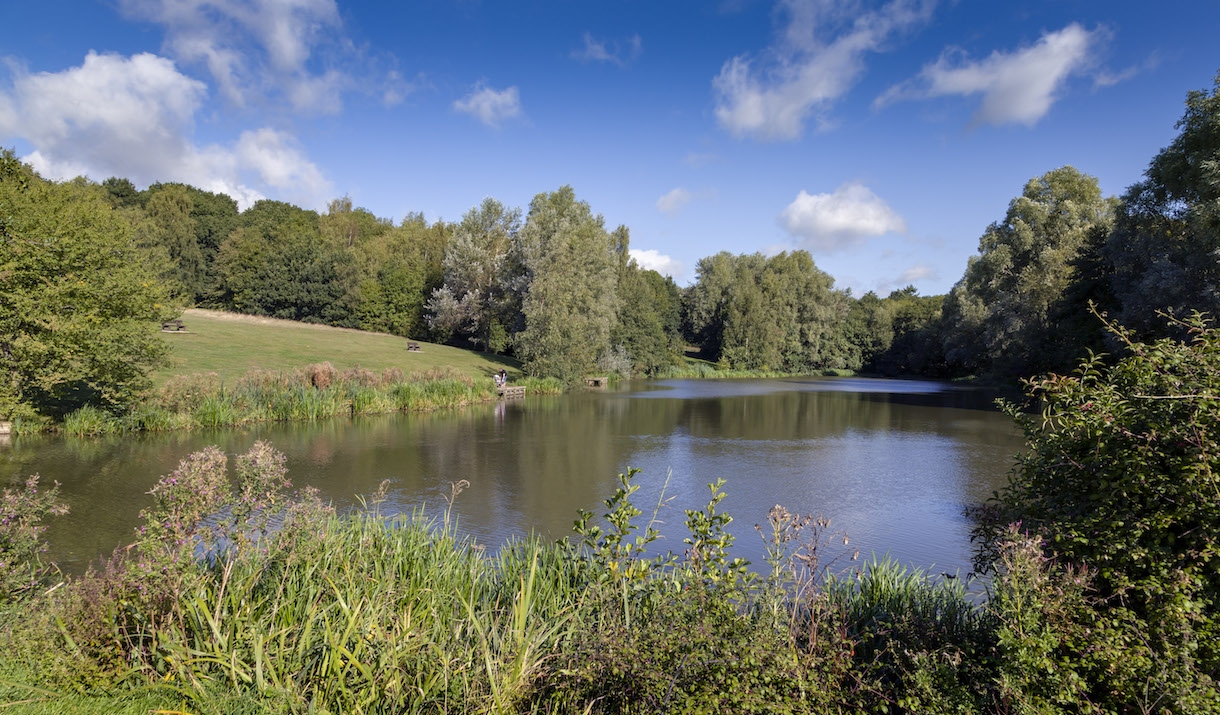 High Woods Country Park view of lake.