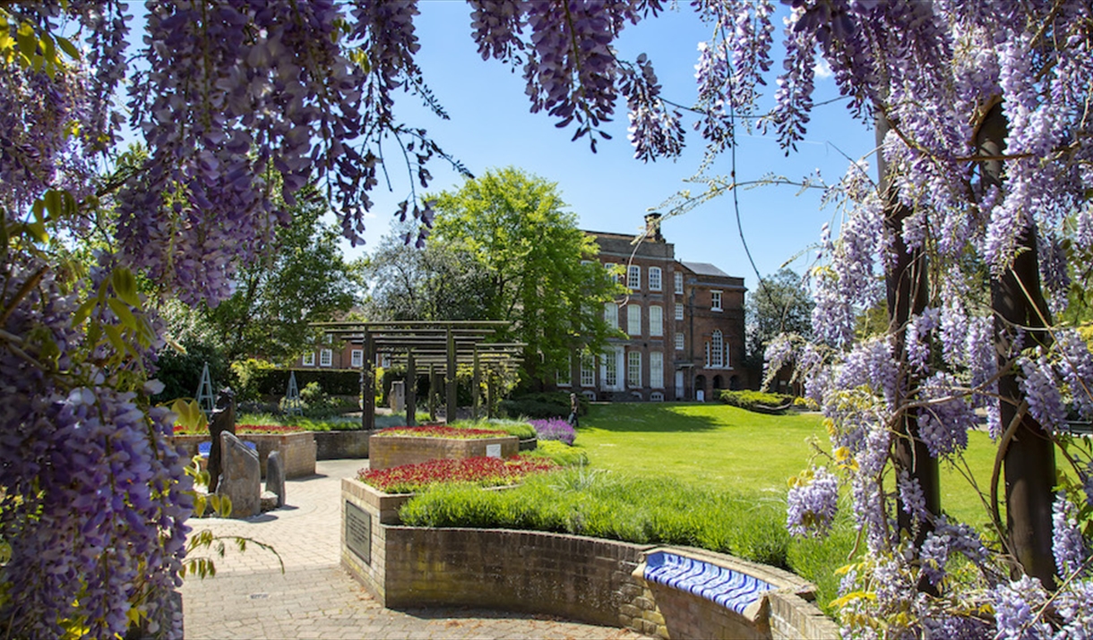 Visit Colchester Information Centre exterior with wisteria