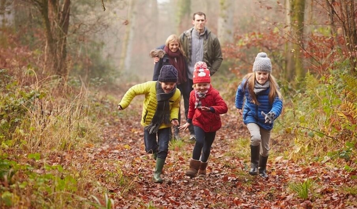 Family walking at High Woods Country Park