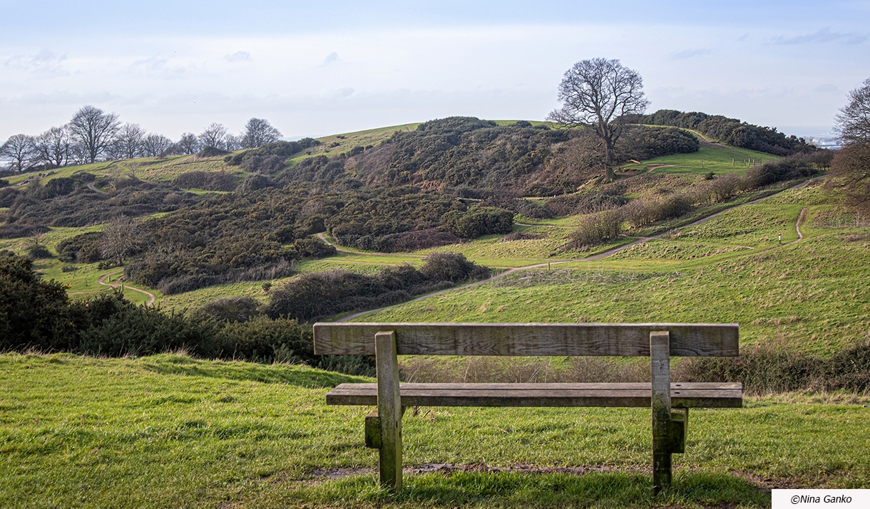 Hadleigh Country Park, Essex