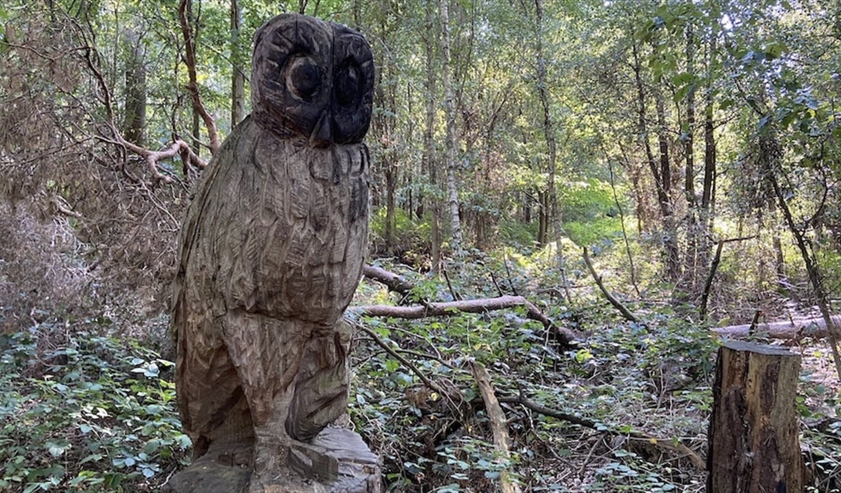 A wooden sculpture of an owl at High Woods Country Park