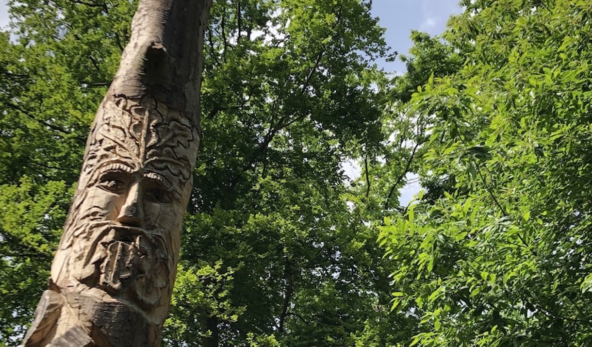 A wooden face carved into a tree at High Woods Country Park