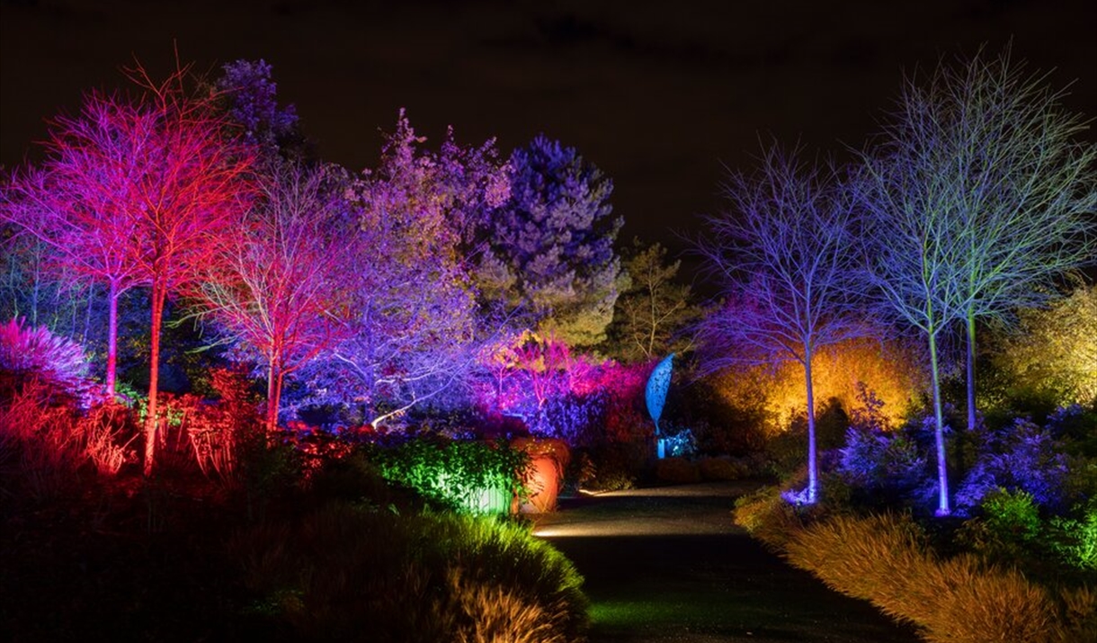 Glow at RHS Hyde Hall Light Festival in Chelmsford, Chelmsford