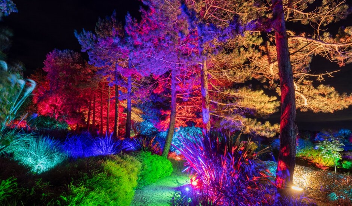 Glow at RHS Hyde Hall - Light Festival in Chelmsford, Chelmsford ...