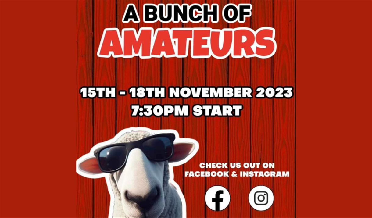 Poster for A Bunch of Amateurs with a sheep wearing sunglasses