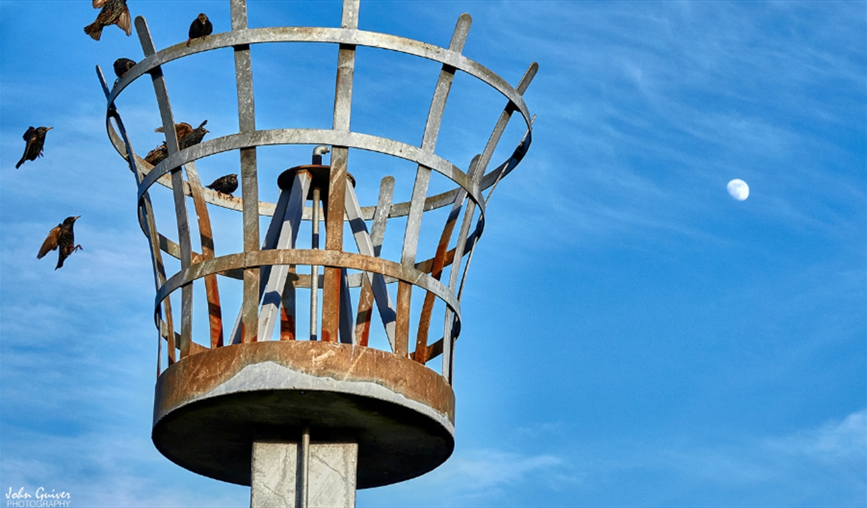 Top of Maldon's beacon with starlings