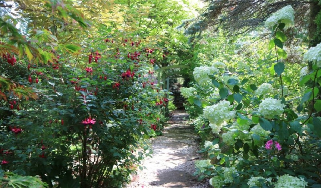 Beautiful garden with path through hydrangeas and acer trees